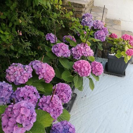 Scorpios Hotel & Suites Sisam Dış mekan fotoğraf